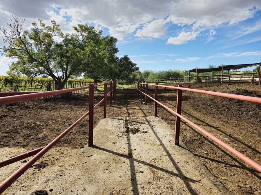 Commercial Property for Sale in Upington Rural Northern Cape